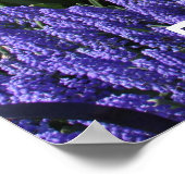 IMG_5044, De schoonheid en de Sterkte van Kleuren  Poster (Hoek)