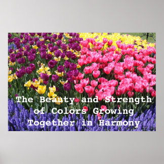 IMG_5044, De schoonheid en de Sterkte van Kleuren  Poster
