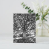 IMG_5219.JPG BRIEFKAART (Staand voorkant)