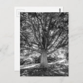 IMG_5219.JPG BRIEFKAART (Voorkant / Achterkant)