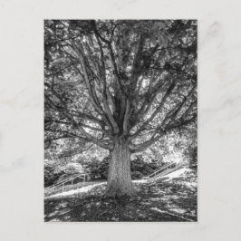 IMG_5219.JPG BRIEFKAART