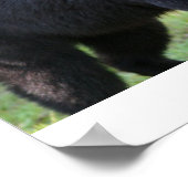 IMG_5587_uitgegeven Poster (Hoek)