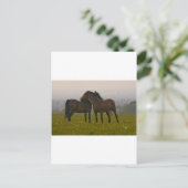 IMG_5764.jpg Briefkaart (Staand voorkant)