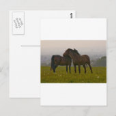 IMG_5764.jpg Briefkaart (Voorkant / Achterkant)