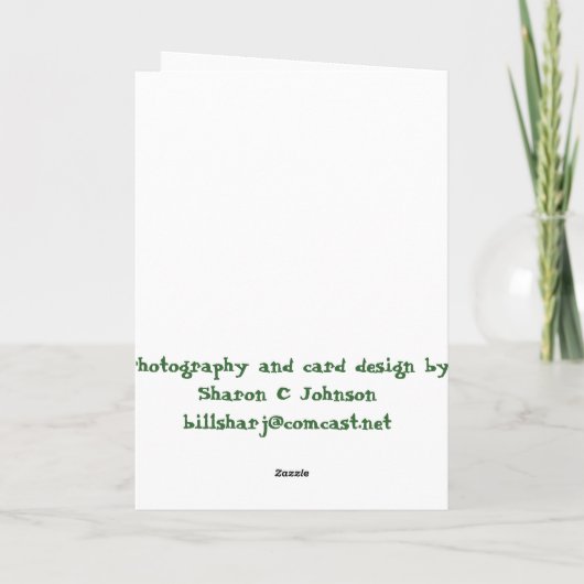 IMG_6106Fo'get About It!, Gelukkige Verjaardag! Kaart (Achterkant)