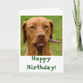 IMG_6106Fo'get About It!, Gelukkige Verjaardag! Kaart (Voorkant)