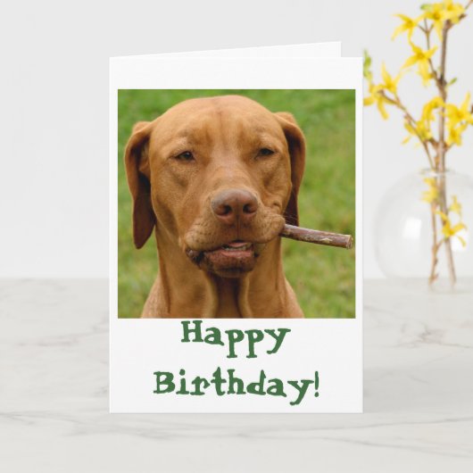 IMG_6106Fo'get About It!, Gelukkige Verjaardag! Kaart (Gele Bloem)