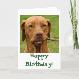 IMG_6106Fo'get about it!, Happy Birthday! Kaart