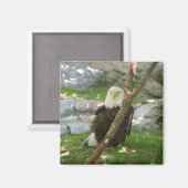 IMG_6126, upliftingphotography.net Magneet (Voorkant / Achterkant)