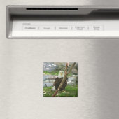 IMG_6126, upliftingphotography.net Magneet (Insitu (Vaatwasser))