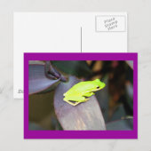 IMG_6159 BRIEFKAART (Voorkant / Achterkant)