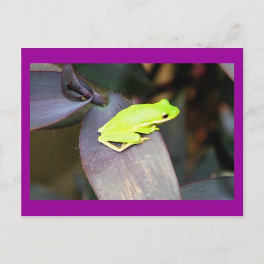 IMG_6159 BRIEFKAART (Voorkant)