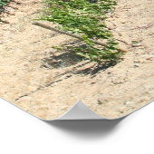 IMG_6159, La Rioja, Spanje Poster (Hoek)