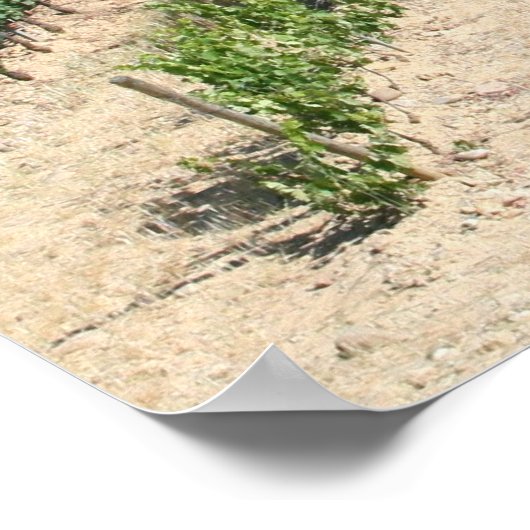 IMG_6159, La Rioja, Spanje Poster (Hoek)