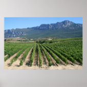IMG_6159, La Rioja, Spanje Poster (Voorkant)