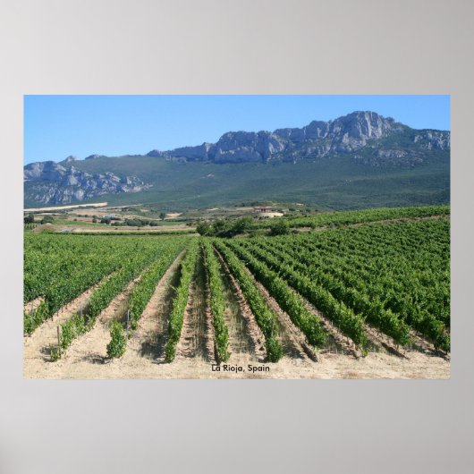 IMG_6159, La Rioja, Spanje Poster (Voorkant)
