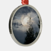 IMG_6587.JPG METALEN ORNAMENT (Rechts)