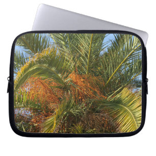 IMG_7080.JPGzomer, palm, blad, tropisch, boom, Laptop Sleeve