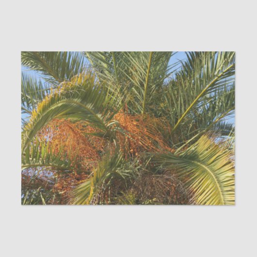 IMG_7080.JPGzomer, palm, blad, tropisch, boom, Tissuepapier (Voorkant)