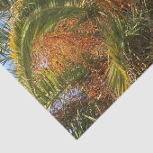 IMG_7080.JPGzomer, palm, blad, tropisch, boom, Tissuepapier (Detail)