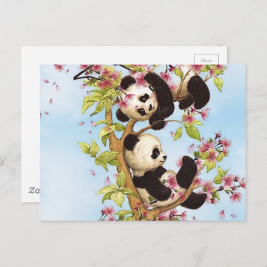 IMG_7386.PNG schattige en kleurrijke panda ontworp Briefkaart (Voorkant / Achterkant)