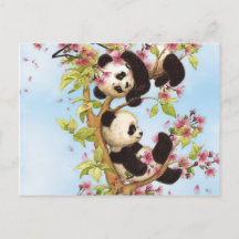 IMG_7386.PNG schattige en kleurrijke panda ontworp