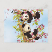 IMG_7386.PNG schattige en kleurrijke panda ontworp Briefkaart (Voorkant)