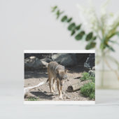 IMG_7805 BRIEFKAART (Staand voorkant)