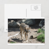 IMG_7805 BRIEFKAART (Voorkant / Achterkant)