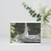 IMG_7954 BRIEFKAART (Staand voorkant)