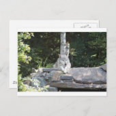 IMG_7954 BRIEFKAART (Voorkant / Achterkant)