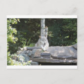 IMG_7954 BRIEFKAART (Voorkant)