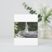 IMG_7954 BRIEFKAART (Staand voorkant)