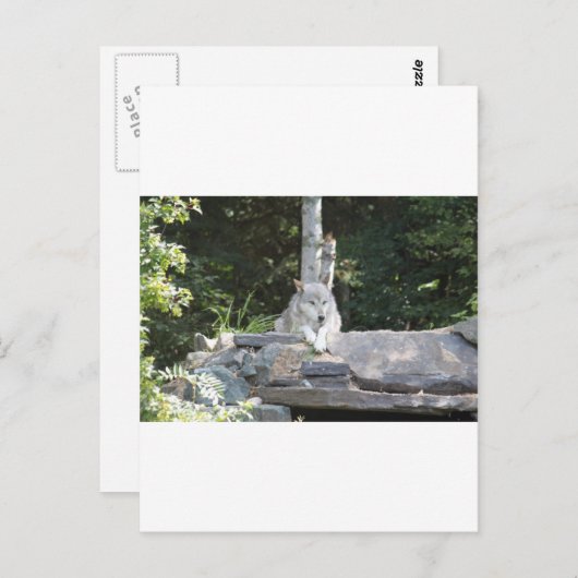 IMG_7954 BRIEFKAART (Voorkant / Achterkant)