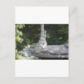 IMG_7954 BRIEFKAART (Voorkant)