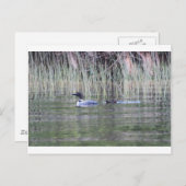 IMG_8448_1 BRIEFKAART (Voorkant / Achterkant)