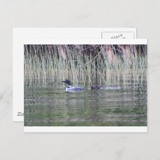 IMG_8448_1 BRIEFKAART (Voorkant / Achterkant)