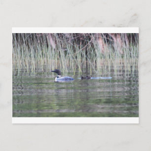 IMG_8448_1 BRIEFKAART