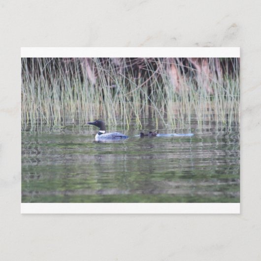 IMG_8448_1 BRIEFKAART (Voorkant)