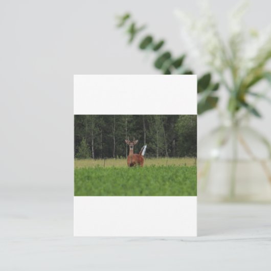 IMG_9486_1 BRIEFKAART (Staand voorkant)