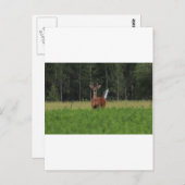 IMG_9486_1 BRIEFKAART (Voorkant / Achterkant)