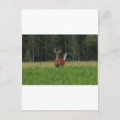 IMG_9486_1 BRIEFKAART (Voorkant)