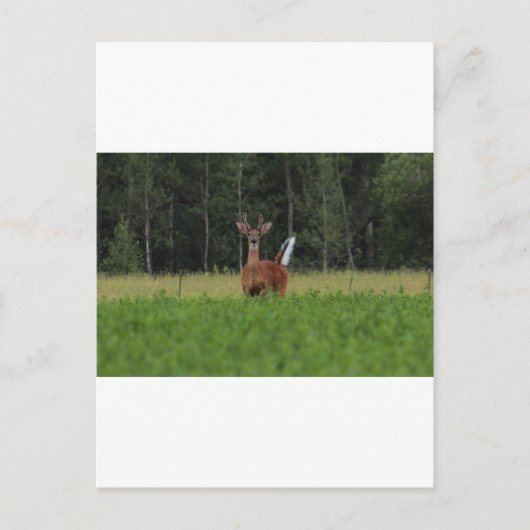 IMG_9486_1 BRIEFKAART (Voorkant)