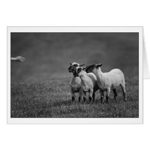IMG_9504-kopie
