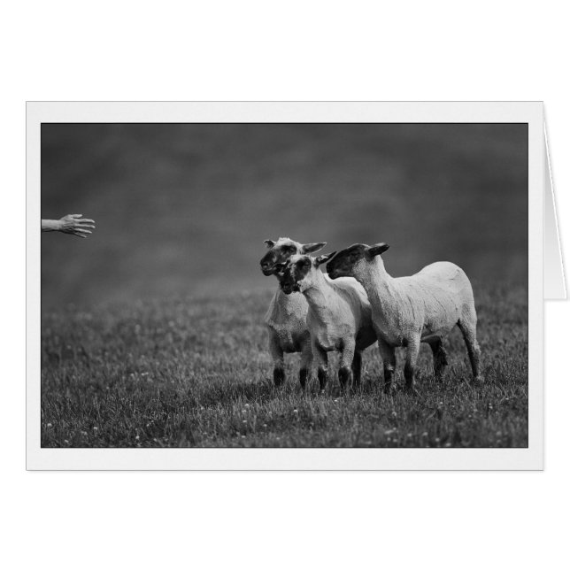 IMG_9504-kopie (Voorkant Horizontaal)