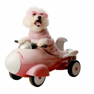 IMG_9656-F1 STAAND FOTOBEELDJE 