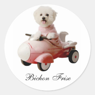 IMG_9658-F1 kopie, Bichon Frise Ronde Sticker