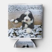 IMG_9916 BLIKJESKOELER (Voorkant)