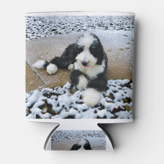 IMG_9916 BLIKJESKOELER