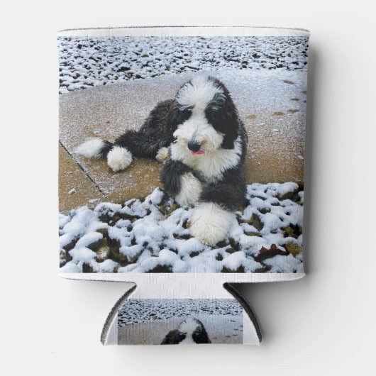 IMG_9916 BLIKJESKOELER (Voorkant)